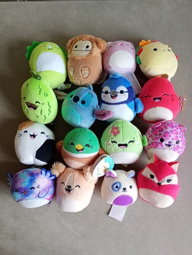 Mini squishmallows bundle - 16,